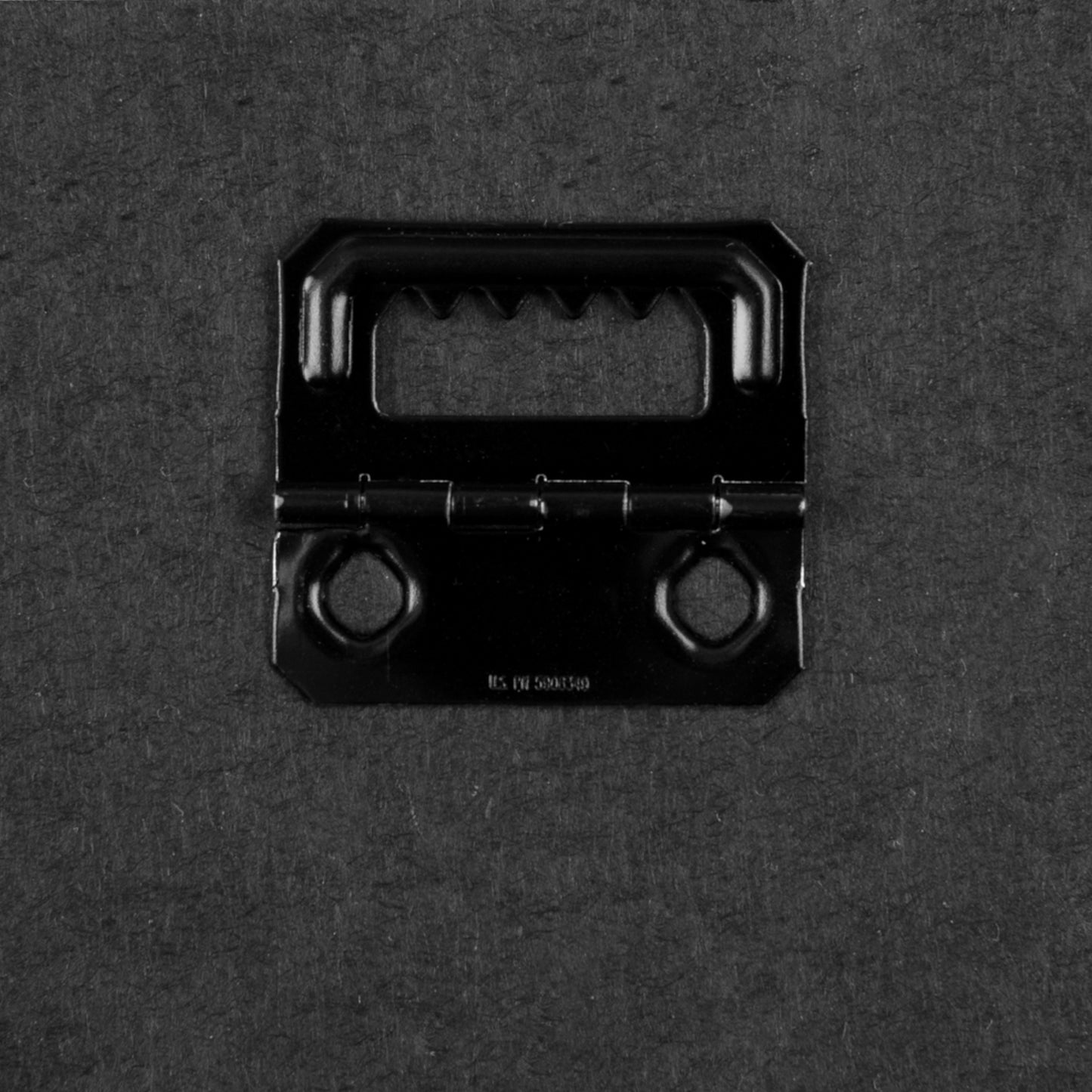 Venus Rising Standard Canvas